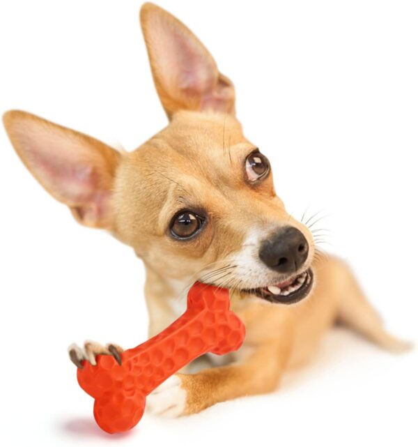 Durable Puppy Teething Bone - Image 2