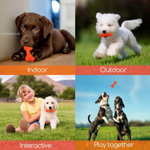 Durable Puppy Teething Bone - Image 3