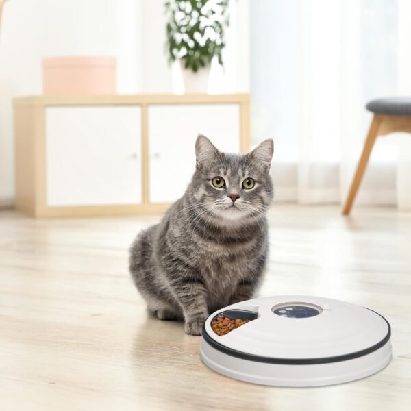 Automatic Cat Feeder - Image 2